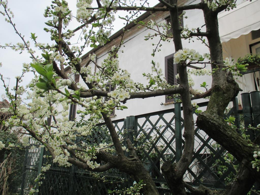 Dimora & Arte B&B Canneto sull'Oglio Εξωτερικό φωτογραφία